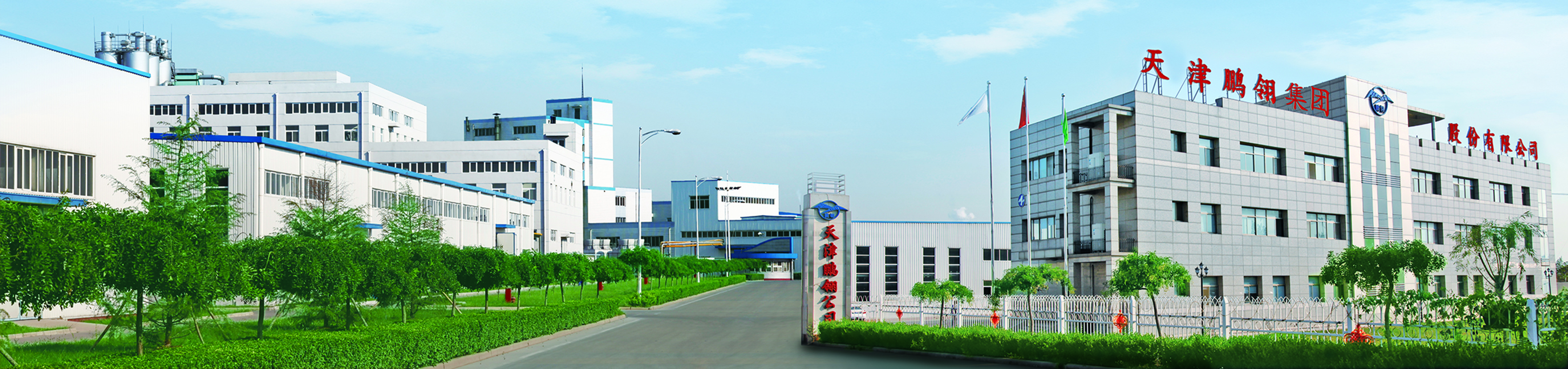 天津鹏翎集团股份有限公司(控股)